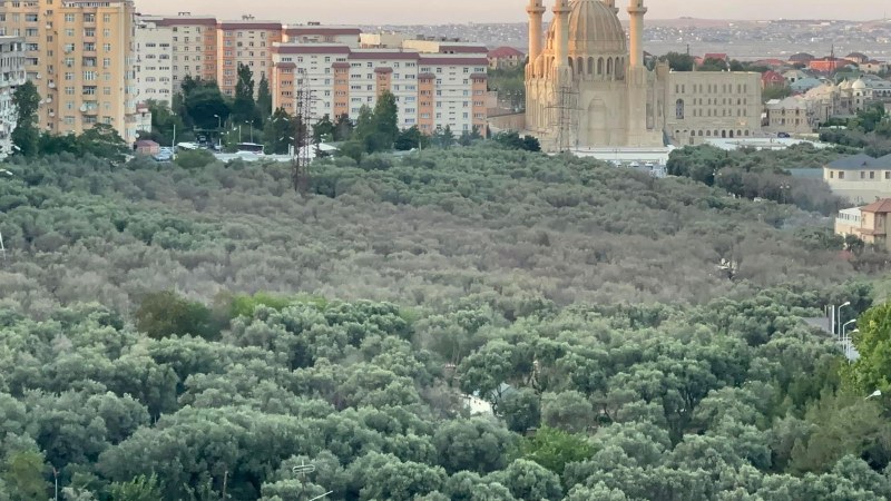  “Bu parkda ağaclar quruyur, məhv olur” - Müvafiq qurumlar niyə tədbir görmür? - FOTO 